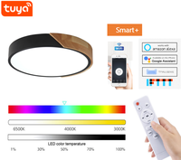 Lampu Langit-langit LED Pintar 400Mm 500Mm 40W Wifi Modern Lampu Langit-langit LED Pintar untuk Rumah Penjualan Terlaris