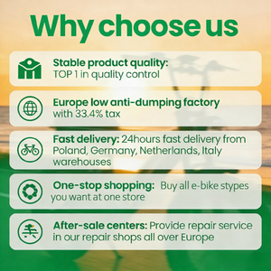 Bicicletas eléctricas <span class=keywords><strong>con</strong></span> neumáticos gruesos <span class=keywords><strong>de</strong></span> 20 pulgadas, 48V 250W Y20 Pro Max, <span class=keywords><strong>bicicleta</strong></span> eléctrica <span class=keywords><strong>con</strong></span> doble batería, suspensión <span class=keywords><strong>trasera</strong></span>, libre <span class=keywords><strong>de</strong></span> impuestos, en stock en la UE. - Product Image 6