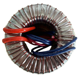 Toroidal <strong>Transformer</strong> 1000W 2000W 3000W 4000W 110V 220V 240V to 110V 220V 750W - Product Image 4