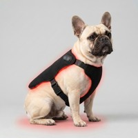 Enveloppe de thérapie par lumière rouge rechargeable pour animaux de compagnie, 660 nm 850 nm, coussin LED rouge pour chien, thérapie par lumière rouge infrarouge pour les articulations, attelle de thérapie par lumière rouge pour animaux de compagnie