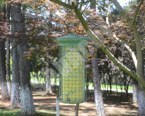 Top Luxury <strong>Anti</strong> <strong>Squirrel</strong> Bird <strong>Feeder</strong> 10L Very Big Capacity - Product Image 1