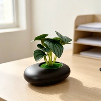Nouvelle plante artificielle araignée à 8 feuilles, style pot plat noir, en plastique souple, 9,5 cm, pour décoration de bureau, restaurants, hôtels