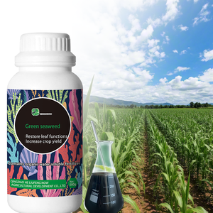 Green <span class=keywords><strong>Seaweed</strong></span> Liquid <span class=keywords><strong>Seaweed</strong></span> Fertilizer Melhoria do rendimento das culturas com raiz e folha Função Restauração - Product Image 1