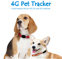 Collier GPS pour animaux de compagnie en plastique étanche IP67 Mini 4G LTE Localisateur vocal Surveillance de la position en temps réel Carte SIM intelligente Traqueur de chien et de chat