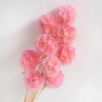Roze geconserveerde Pristimera windmolenbladeren gedroogd fruit Scabiosa bloemknoppen - 5 stelen voor Kerstmis, afstuderen, Valentijnsdag, Pasen