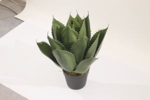 JWT3874 Plantas Suculentas Artificiales <span class=keywords><strong>de</strong></span> Aloe <span class=keywords><strong>Vera</strong></span> PARA EL Hogar, Jardín, Paisajismo, Oficina, Escritorio, Decoración <span class=keywords><strong>de</strong></span> Plantas - Product Image 2