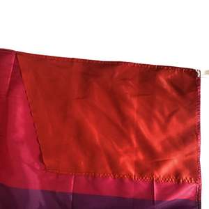 Artículos Promocionales Personalizados de Alta Calidad para el Día del Orgullo, Capas de Orgullo, Chales para Animar en Partidos de Fútbol, Banderas Corporales Arcoíris. - Product Image 5