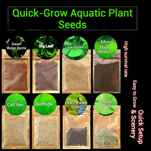Vente en gros de graines de plantes aquatiques à haut taux de germination et à faible entretien pour aquariums multifonctionnels - Product Image 3
