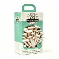 Boîte de culture de champignons frais en carton avec poignée, emballage en pulpe recyclée