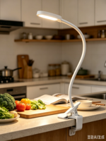 Lampe de lecture LED portable à pince en métal, réglable et flexible, avec contrôle tactile USB, pour chevet et table, intensité variable, pour la lecture et la nuit