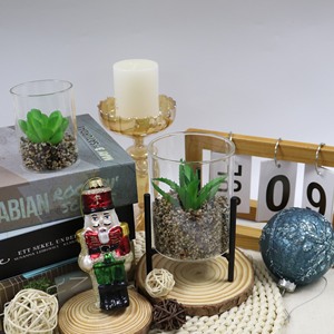 Plantas <span class=keywords><strong>suculentas</strong></span> vivas Sala <span class=keywords><strong>de</strong></span> estar Planta Macetas <span class=keywords><strong>suculentas</strong></span> <span class=keywords><strong>Venta</strong></span> <span class=keywords><strong>al</strong></span> <span class=keywords><strong>por</strong></span> <span class=keywords><strong>mayor</strong></span> <span class=keywords><strong>Venta</strong></span> caliente Mini Macetas para plantas <span class=keywords><strong>suculentas</strong></span> - Product Image 6