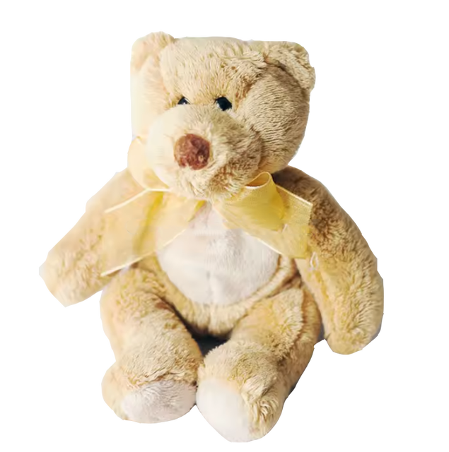 OEM ODM Factory Custom Talking Kids Toy Cream Brown Peluche Plush Teddy Bear Speaker Voice Recorder