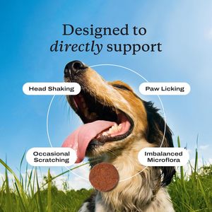 Probióticos Inmunitarios para Perros con Alergias, Favorecen la Salud Digestiva e Inmunitaria, Sin <span class=keywords><strong>Nueces</strong></span>, Sabor <span class=keywords><strong>a</strong></span> Cerdo, 30 Masticables Blandos - Product Image 4