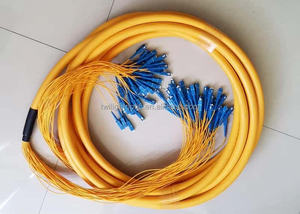 24 cœurs Single Mode OS2 Trunk Cables 0.9mm Bunchy Breakout Cable Optic <span class=keywords><strong>Patch</strong></span> Cord avec Pull Eye <span class=keywords><strong>pour</strong></span> Data Center - Product Image 5