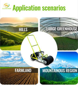 All'ingrosso, - Product Image 4