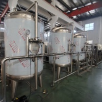 Système de purification d'eau RO de prétraitement de fabrication de boissons, Machine de traitement d'eau potable/usine avec prix