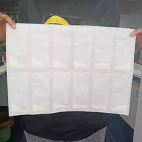 Máquina Profesional Personalizada para Empacar Almohadillas de Refrigeración, Paquetes de Hielo para Congelador, para el Transporte de Carne, Mariscos y Frutas, Mantiene la Frescura