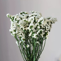 Bouquet de Myosotis séché et préservé naturel pour remplissages floraux de mariage et décorations intérieures