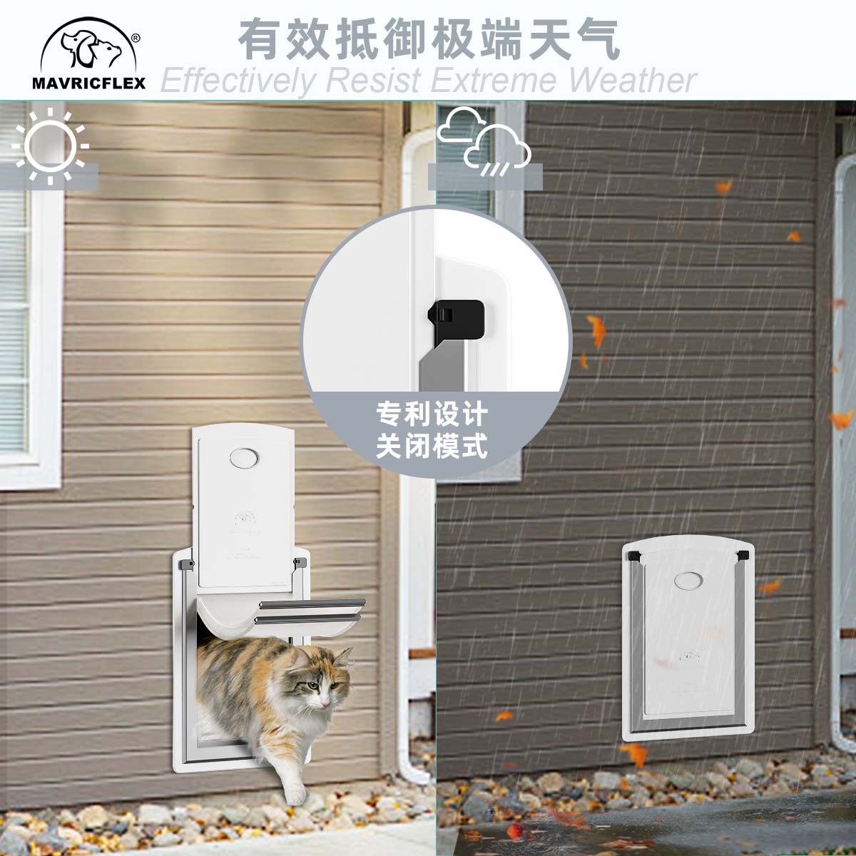 How to Choose the Best Quai Breeders Cages: A Complete Buying Guide