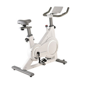 LADYGLOW, <span class=keywords><strong>bicicleta</strong></span> de <span class=keywords><strong>spinning</strong></span> magnética para interiores, <span class=keywords><strong>bicicleta</strong></span> de ejercicio para el hogar para gimnasio, bicicletas de ejercicio portátiles y extraíbles - Product Image 6