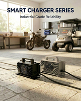 LNLEE Custom 48V 15A Club Car Chargeur de voiturette de golf Lifepo4 Lithium-Ion Onboard Power Adapter Catégorie de produit Chargeurs Adaptateurs