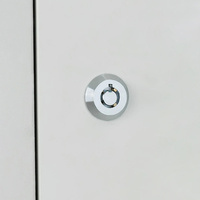 Serrure à came tubulaire en alliage de zinc chromé pour armoire, casier, boîte à outils, distributeur automatique - Vente en gros