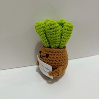 Décoration artistique tricotée faite à la main Cactus plante en pot ensemble personnage Design poupée voiture ornement suspendu