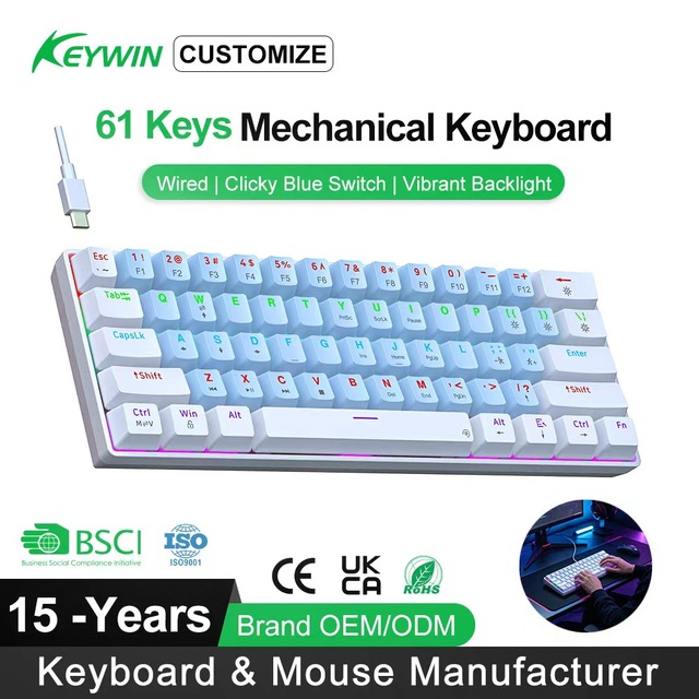 OEM ODM 61-Keys Mini LED Mechanical Gaming Keyboard Factory Stock 60% Type-C Wired Blue Switch LED Gaming Mechanical Keyboard
