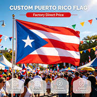 Drapeau de Porto Rico personnalisable 3x5 pieds 100% polyester pour extérieur avec 2 œillets en laiton cousus