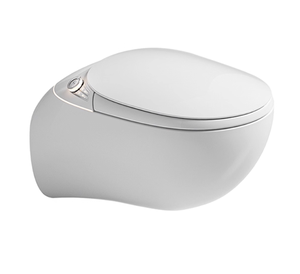 <span class=keywords><strong>WC</strong></span> mural en céramique encastré en forme d'œuf avec réservoir d'eau intégré, chasse d'eau automatique, <span class=keywords><strong>suspendu</strong></span>, intelligent, télé<span class=keywords><strong>commande</strong></span> - Product Image 6