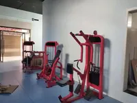 Máquina de remo sentado comercial, equipo de ejercicio comercial