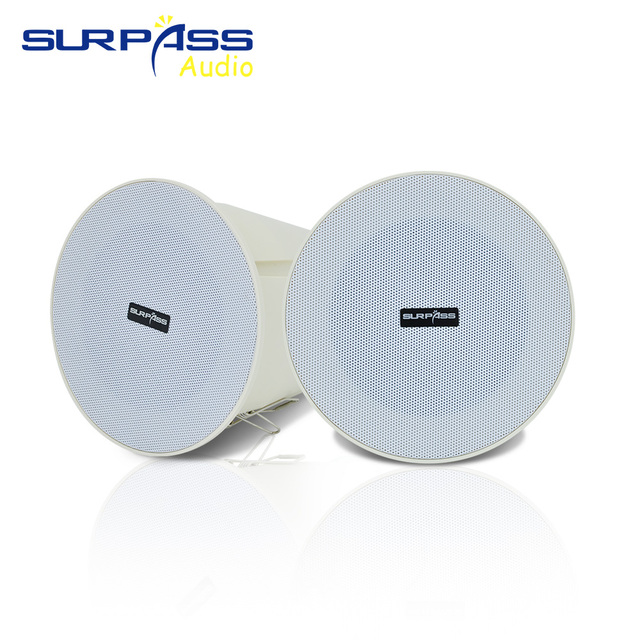 C46A Full Range 4-inch 6W Professional Audio Ceiling Speaker IP55 Bathroom Waterproof Ceiling Speaker