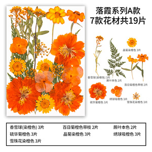 18-32pcs/pack <strong>Sunset</strong> Clouds Series Pressed <strong>Flower</strong> Mix Packs DIY Art Crafts Making Natural Plant Eco-friendly - Product Image 2