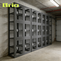 Casier en treillis métallique robuste, résistant à la corrosion, durable et sur mesure pour le stockage, de la marque Brio Basement