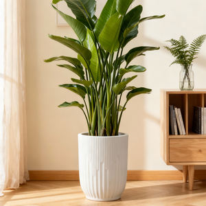 <span class=keywords><strong>Pot</strong></span> de fleurs décoratif Yicai, grand modèle en plastique épais et agrandi pour <span class=keywords><strong>Monstera</strong></span> <span class=keywords><strong>Deliciosa</strong></span> - Product Image 2