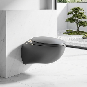 <span class=keywords><strong>WC</strong></span> automatique pour salle de bain, cuvette de toilette intelligente en céramique grise en forme d'œuf, <span class=keywords><strong>WC</strong></span> <span class=keywords><strong>suspendu</strong></span> avec bidet - Product Image 1