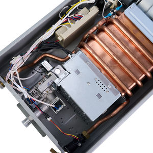 <span class=keywords><strong>Calentador</strong></span> de agua <span class=keywords><strong>a</strong></span> <span class=keywords><strong>gas</strong></span> onstant con indicador de temperatura, <span class=keywords><strong>calentador</strong></span> de agua <span class=keywords><strong>a</strong></span> <span class=keywords><strong>gas</strong></span> al aire libre, industria líder - Product Image 4