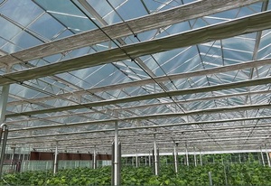 Hoch effizientes Hydroponik-Gewächshaus mit Polycarbonat blech und Stahlrahmen-Sonder größen für die gewerbliche Landwirtschaft - Product Image 5