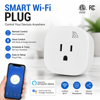 Prise intelligente Wi-Fi mini US 125V contrôlée par l'application Tuya Google Home Alexa