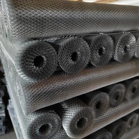Meilleur prix 5x10 SS304 Grille en métal expansé pour fenêtre Conception pour usine industrielle