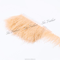 Plusieurs couleurs en stock, 8-10 cm, dentelle en plumes d'autruche 1 pli, bonne qualité, franges d'autruche pour la décoration de robes faites à la main