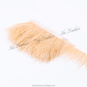 Múltiples Colores en Stock, Adorno de Encaje con Plumas de Avestruz de 8-10cm, 1 Capa, Flecos de Avestruz de Buena Calidad para Decoración de Vestidos Hechos a Mano - Product Image 6