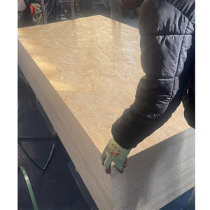 Tablero <span class=keywords><strong>de</strong></span> filamento <span class=keywords><strong>de</strong></span> madera para muebles <span class=keywords><strong>de</strong></span> interior, tablero <span class=keywords><strong>de</strong></span> madera <span class=keywords><strong>Osb</strong></span> <span class=keywords><strong>de</strong></span> <span class=keywords><strong>12mm</strong></span> y 18mm, 4x8 - Product Image 5