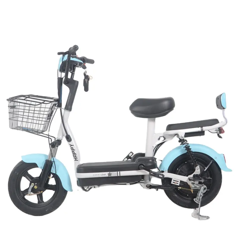 Cheap Chinese Factory Price Bike Share Electric Bicycle Brand New Electric Bicycle