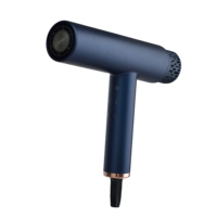 Sèche-cheveux BLDC à séchage rapide haute vitesse avec fonction ionique et buse concentratrice pour salon, usage domestique et hôtelier
