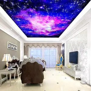 大厅的 LED 光纤明星天花板设计