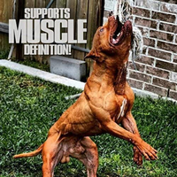 Suppléments de gain de poids Pet Wellbeing Kidney Support Gold pour chiens et chats Rx Vitamins Hepato Support pour chiens et chats-Lait