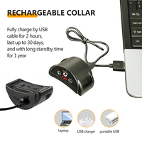 Oem Dual Motor wiederauf lad bares Hunde halsband Vibrations stopp Elektrisch No Shock Bark Collar Anti Bark Device Anti Bark Collar