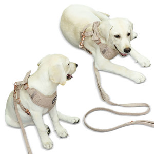 Ensemble de harnais pour <span class=keywords><strong>chien</strong></span> personnalisé, sûr, réfléchissant et respirant, avec sac à déjections canines, tendance pour les voyages et les jouets à mâcher - Product Image 6