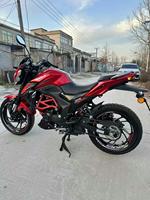 Haojue DR190 190cc Moto Naked Urbaine Refroidie par Air Frein CBS Connecté Fourche Avant Inversée Euro5 CKD Export en Gros pour l'Afrique de Sud-Est